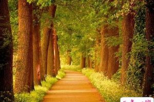 很不错的QQ说说：别矫情，这世上没有不带伤的人