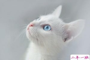 个人说说超拽：有时候疏远某人不是讨厌，而是太喜欢