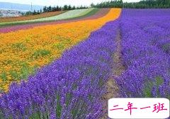 很赞的语录：做一个单纯的人，走一段幸福的路