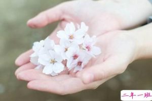 2013流行句子：我什么都不怕，只怕喜欢的人爱上别人