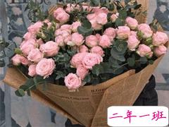 2021314朋友圈发什么好 2021年3月14甜蜜的告白文案