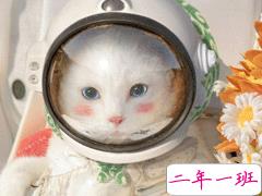 2021让人爆笑的经典搞笑幽默句子 值得收藏的宝藏文案