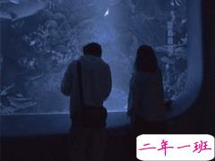 最浪漫的关于爱情微信状态文案 微信状态高级含蓄秀恩爱的文案