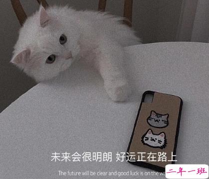 前任教会了你什么经典语录 前任教会你的道理2