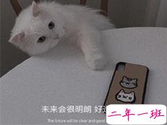 前任教会了你什么经典语录 前任教会你的道理