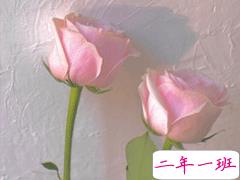 很经典不会过时的秀恩爱文案 不矫揉造作的经典表白说说