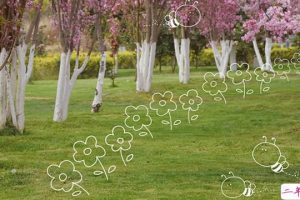 2021个性说说心情短语励志 简短励志的超火个性说说大全