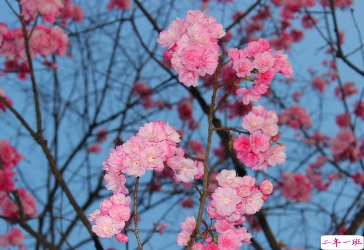  二月最后一天的感概说说 三月第一天的好听朋友圈说说1