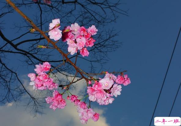  二月最后一天的感概说说 三月第一天的好听朋友圈说说2