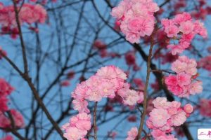 二月最后一天的感概说说 三月第一天的好听朋友圈说说