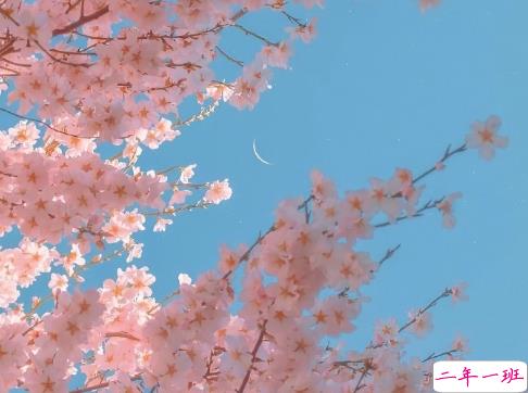 2021很走心的干净短句 朋友圈高质量吸引人的短句1