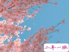 2021很走心的干净短句 朋友圈高质量吸引人的短句