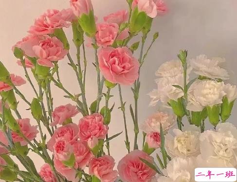 精选50条让你豁然开朗话 让你变的开心的句子1