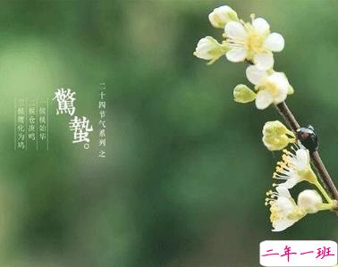 2021惊蛰节气微信简短祝福语说说 惊蛰节气的心情说说大全2