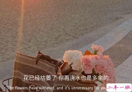 超级催泪的文案 煽情催泪的朋友圈句子2