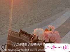 超级催泪的文案 煽情催泪的朋友圈句子