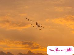 早上起床后发朋友圈的句子 舒心又很正能量的短句