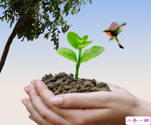 植树节说说心情短语2021 植树节好听的朋友圈说说大全1