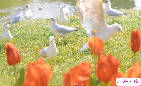 2021最新开心的句子说说心情朋友圈短句 很开心的朋友圈心情句子1