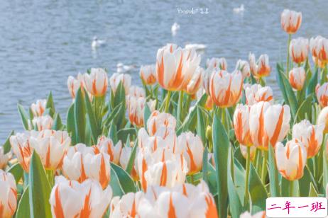 2021最新开心的句子说说心情朋友圈短句 很开心的朋友圈心情句子2