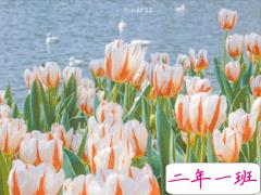 2021最新开心的句子说说心情朋友圈短句 很开心的朋友圈心情句子