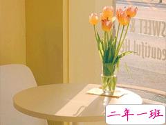 2021春天观赏樱花的心情说说 三月看樱花的优美文案