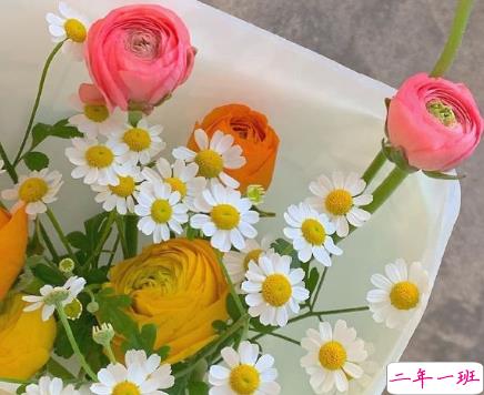 表达对对方一见倾心的文案带图片 烟花转瞬即逝灰烬倒是永恒11