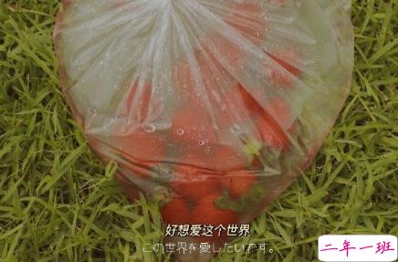 表达对对方一见倾心的文案带图片 烟花转瞬即逝灰烬倒是永恒15