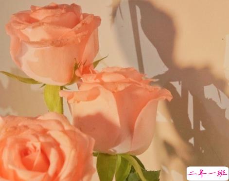 一个人的理想生活句子朋友圈文案 关于一个人生活朋友圈文案配图2