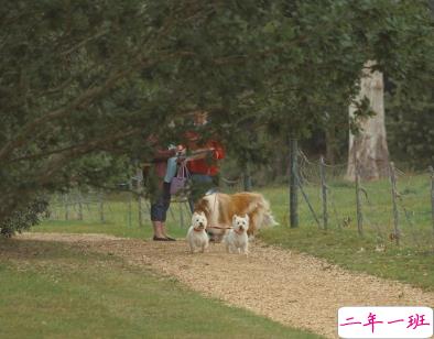 不会烂大街的伤感说说带图片 2021伤感的高质量的文案1