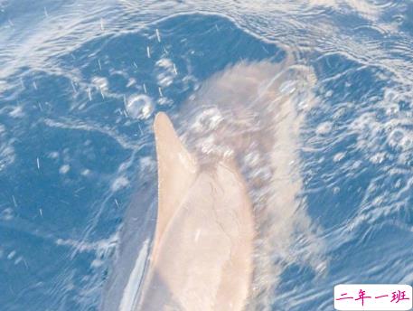 温暖至极的温柔朋友圈说说带图片 超级治愈又温柔的短句2