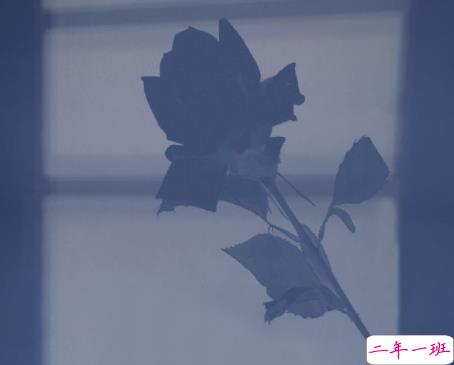 温暖至极的温柔朋友圈说说带图片 超级治愈又温柔的短句6