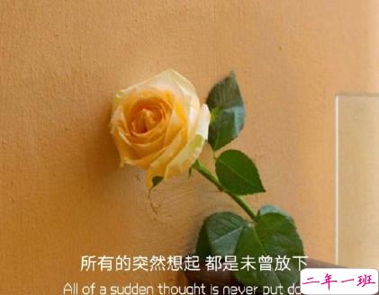 朋友圈晒花朵的优美文案 关于晒花朵的朋友圈1