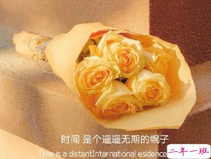 朋友圈晒花朵的优美文案 关于晒花朵的朋友圈2