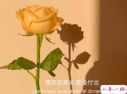 朋友圈晒花朵的优美文案 关于晒花朵的朋友圈3