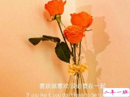 朋友圈晒花朵的优美文案 关于晒花朵的朋友圈4