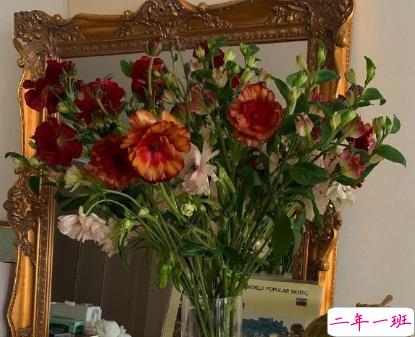 朋友圈晒花朵的优美文案 关于晒花朵的朋友圈12