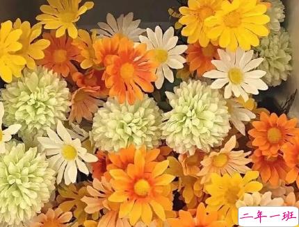 朋友圈晒花朵的优美文案 关于晒花朵的朋友圈13