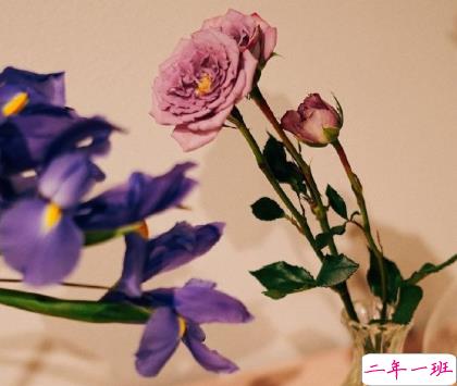 朋友圈晒花朵的优美文案 关于晒花朵的朋友圈15