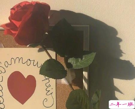 比晚安更高级的撩人情话 睡前情话最暖心撩人8