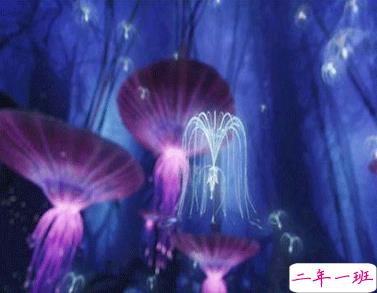 电影阿凡达经典哲理台词带图片 电影阿凡达超级精辟的语录7