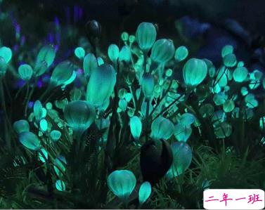 电影阿凡达经典哲理台词带图片 电影阿凡达超级精辟的语录10