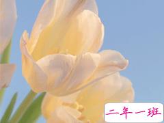 让人惊艳的古文情话 很美的古文表达爱情的句子