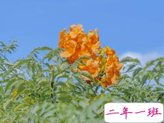 适合愚人节告白的说说 愚人节告白的有趣文案