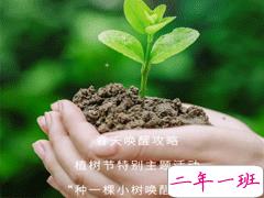 植树节的土味情话大全 适合植树节发的撩人句子