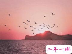 用姓氏公布恋情的短句 抖音很火姓氏表白的好听短句