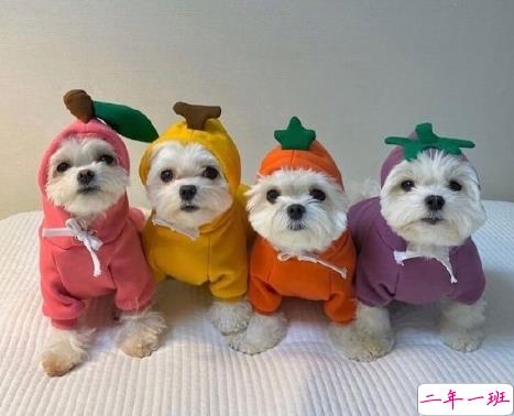 可以撩到男朋友的甜甜情话 撩到男生小鹿乱撞的情话1