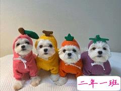 可以撩到男朋友的甜甜情话 撩到男生小鹿乱撞的情话