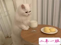 2021超级温柔告别文案 温柔又好听的告别句子