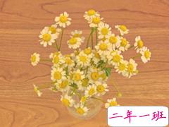 2021全新拍一拍有趣后缀文字搞笑 很有意思的微信拍一拍后缀句子